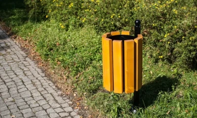 Kosz-na-smieci-Genewa-11-768x461.webp