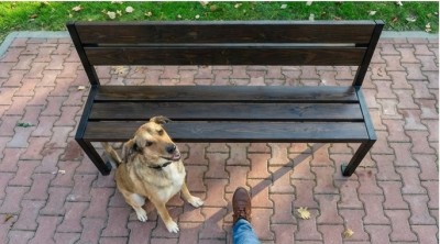 fa374689adf19975de80ef3dbac6d446